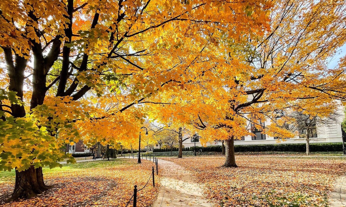 Lemont House | Cozy Cape Cod - Minutes from Stadium. Family and Pet Friendly!