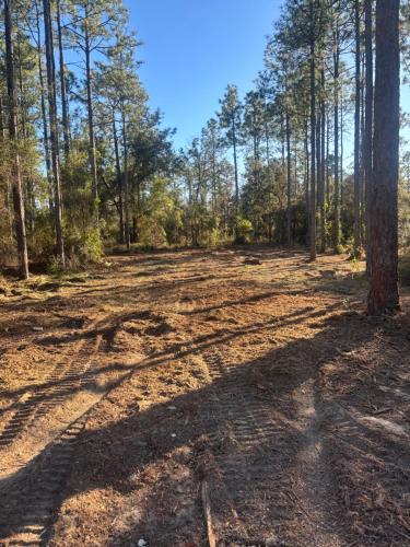 Edgar Other | Nice 4,000 sqft vacant lot perfect for camping or weekend get away will need to bring your own tent or camper