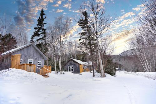 Wreck Cove Cabin | Trailside Accommodations and Outdoor Adventures