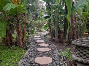 Menjangan Homestay | Pejarakan