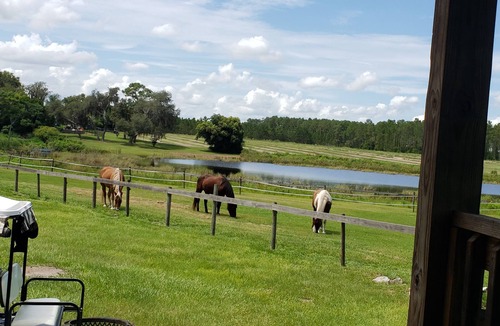 Howey-in-the-Hills House | (2) Tiny Homes on 6 acre horse farm. Spring fed pond. Amazing Sunsets. Fire pit.