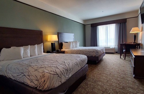 Emory Hotel | Best Western Plus Emory At Lake Fork Inn & Suites