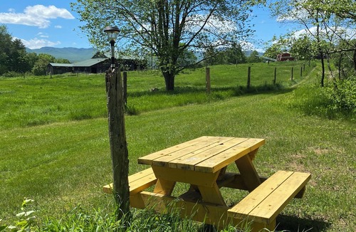 Westport RV Rental | Campsite 2. Pleasant campground in Wadhams perfect for your outdoor getaway