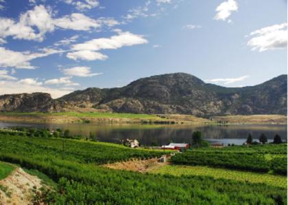 Osoyoos Apartment | Ciliegia Villa