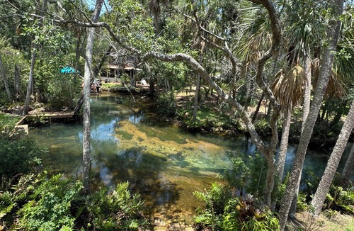 Weeki Wachee Gardens House | Hidden Spring Run Elevated Views 2 Kings 75" Smart TV kayaks Game Rm