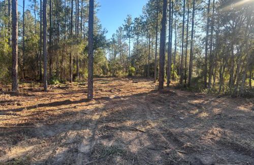 Edgar Other | Nice 4,000 sqft vacant lot perfect for camping or weekend get away will need to bring your own tent or camper