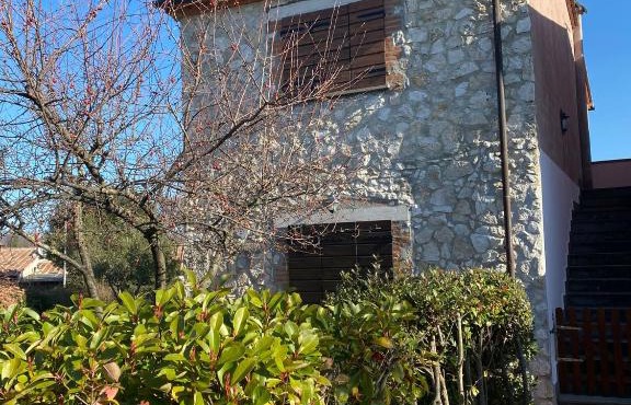 Bosco Verde