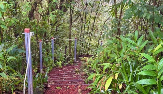 Cabin immersed in nature - Private Hiking Trail - 3 BR - Fireplace - Peaceful
