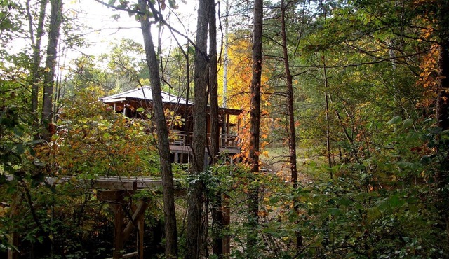 Creekside B&B Cabin – Breakfast Included – Award-Winning Appalachian Farm