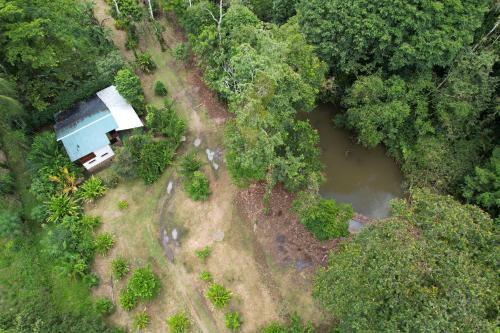 FINCA La PAZ - Jungle Retreat - Best Wildlife Spot in Sarapiqui