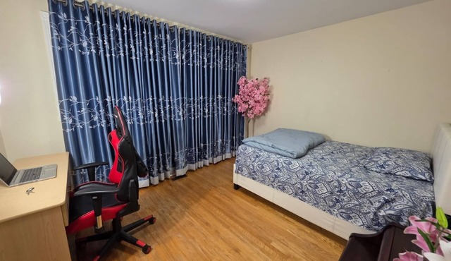 Freshly renovated studio room in Scarborough