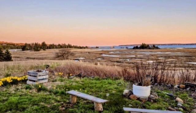 Herons, deer and ocean views! Only 2 kms from downtown Lunenburg!