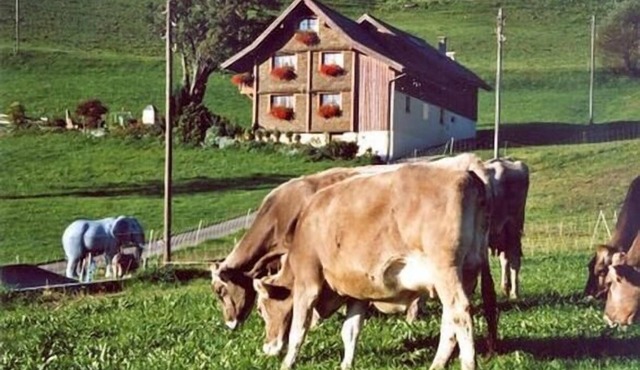 Holiday apartment Flumserberg Bergheim for 1 - 6 persons with 3 bedrooms - Farmhouse