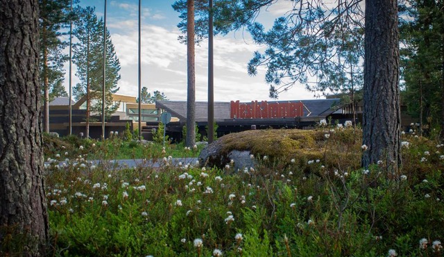 Hotel Mesikämmen