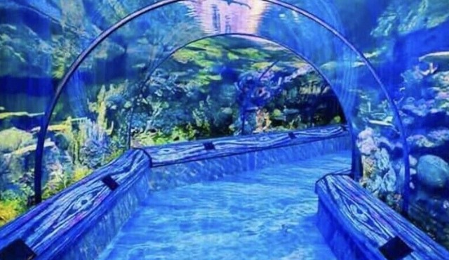 Lovely pool home with screened in patio