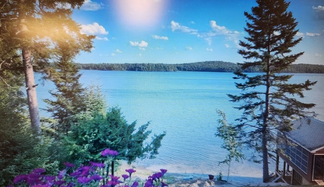 Modern Tiny Cottage on Eagle Lake with South facing Private Beach