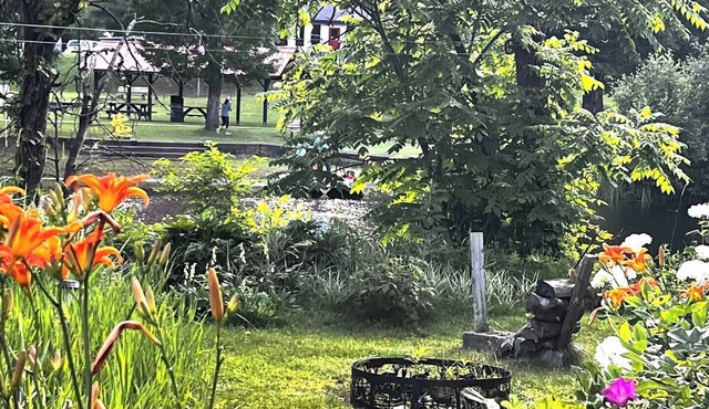 Peaceful Riverside Park Cottage in the town of Bancroft free parking/fireplace
