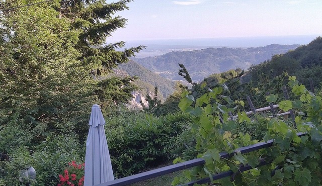 Rustico Morata. Beautiful rustico in a quiet location
