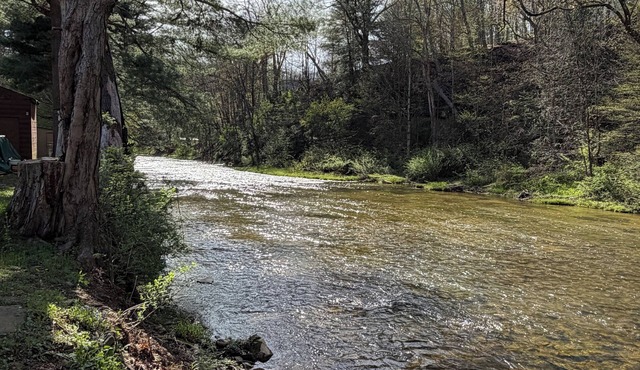 Waterfront Campfires With a Relaxing Creek View. Trout View Cottage near ANF.