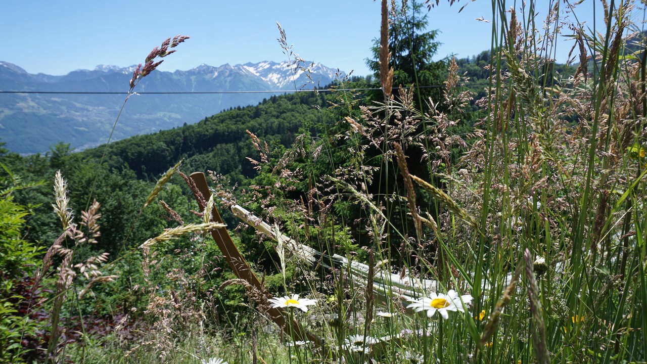 Photo of Outdoor in Sevelen