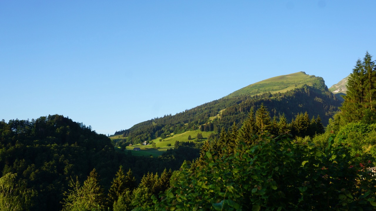 Photo of Others in Sevelen