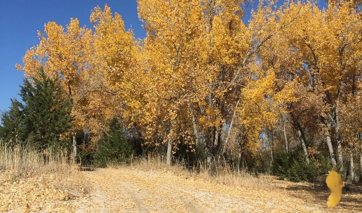 Photo of Outdoor in Lonergan