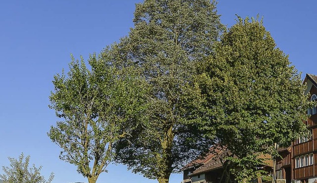 Ferien Alpsteinblick by Interhome